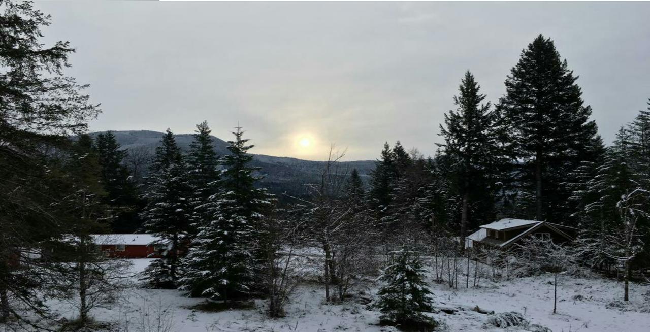 Packwood Ski & Vacation Getaway Kültér fotó