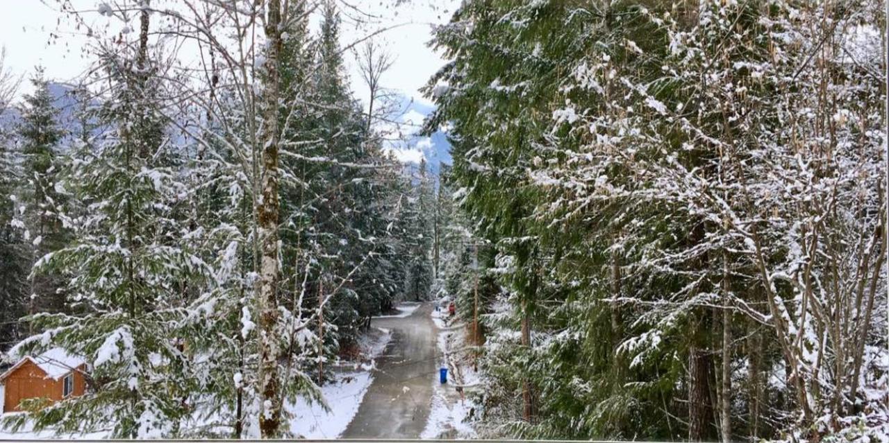 Packwood Ski & Vacation Getaway Kültér fotó
